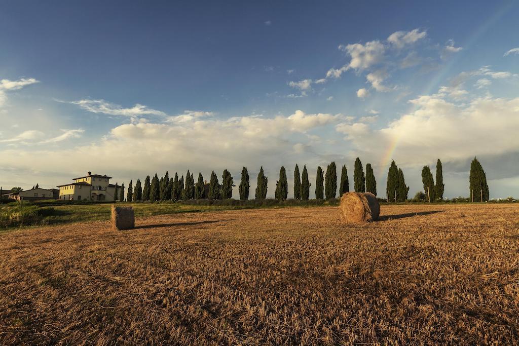 Apartmán Casale Podernovo Terricciola Exteriér fotografie