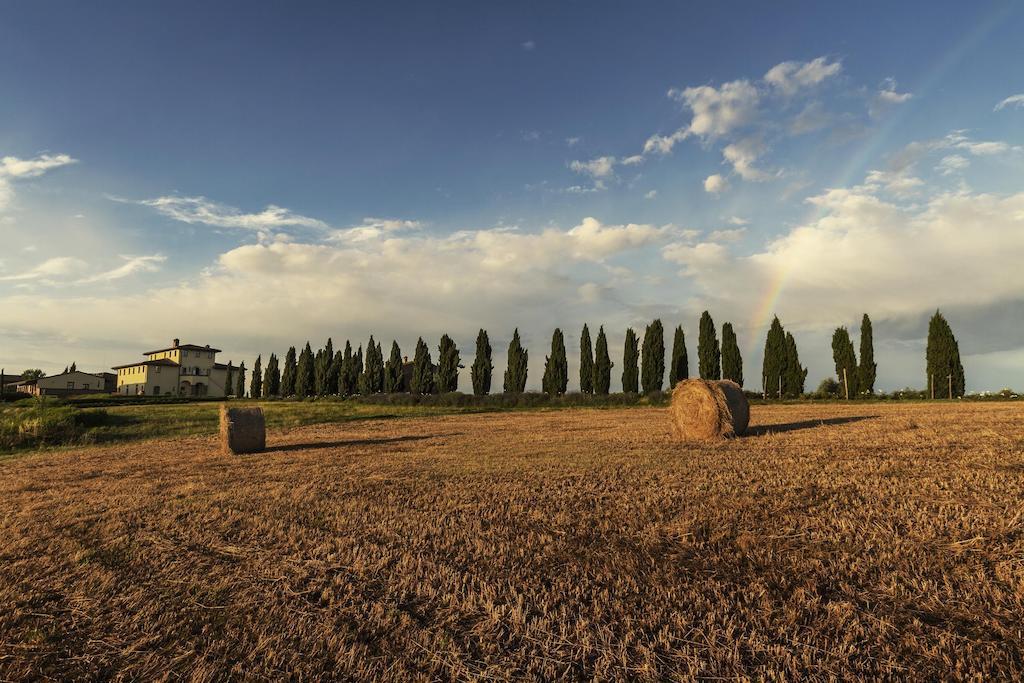 Casale Podernovo Terricciola Exteriér fotografie